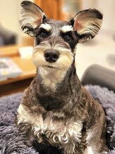 銀座ラボ アンド スリークス(LA BO&SLEEKS)&nbsp;高山 めんま