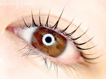 シーンスタジオ 沼津店(SSIN STUDIO)/沼津/眉毛/まつげ/マツパ/まゆげ