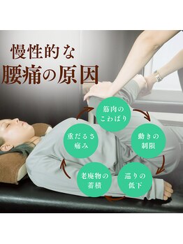 ストレッチリヴェラ(STRETCH LIVERA)/腰痛の原因