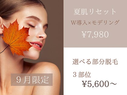 アルム(Arum)の写真
