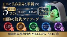 メロウスキン(MELLOW SKIN)