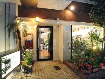 ブラッシュヘアドレッシング マツエク(BRASH Hair Dressing)/BRASH Hair Dressing　外観