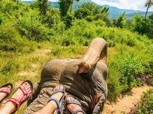 アジアンリラクゼーション ヴィラ 福岡東店(asian relaxation villa)/エレファント・サファリ・パーク