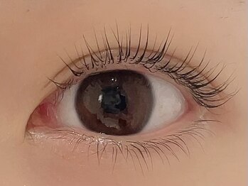 カラン 焼津店(CALIN)/上下ラスティングカール