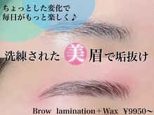 プリュム(plume)の雰囲気（毛流れを整えて、より洗練された印象に♪ブロウラミネーション）