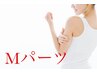 Mパーツ(1箇所)