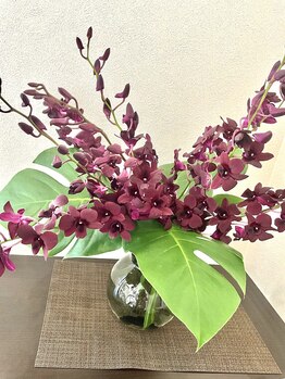 アフェットレガーレ 京都三条店(affetto legare)/玄関のお花が変わりました