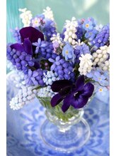 プチローズ/残暑厳しいのでクールな色彩写真