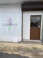 ルピナス(Lupinus)/近藤 志保