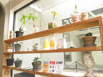 ロペス(Lopez)/【こだわり】おしゃれな店内