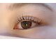 ユーキャン(You Can)の写真/理想のナチュラルな束感まつげパーマ!上品な目元で自分らしく輝こう◎まつげパーマ¥5,500