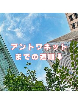 エステティック アントワネット/アントワネットまでの道のり