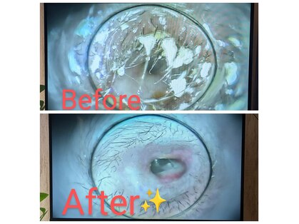 ミミミル？の写真