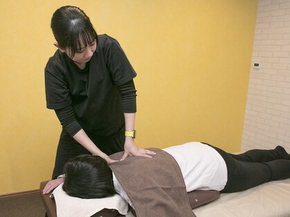 ニコ(Niko)の写真