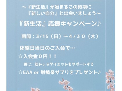 ディシジョン(Decision)の写真