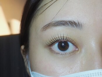 ドール (Doll)/韓国マスカラパーマ