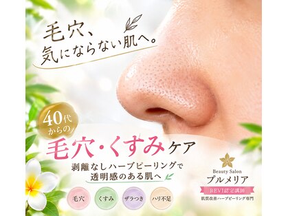 プルメリアの写真