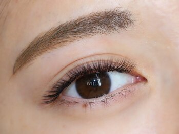 ウィル 仙台店(WILL)/《マツエク+アイブロウ》マツゲ