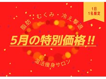 ヨサパーク モカ(YOSA PARK Moca)