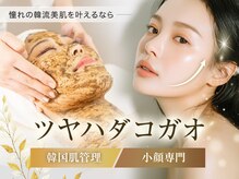 ツヤハダコガオ 千葉店