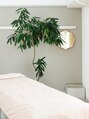 Esthetic Salon jouer/Esthetic Salon jouer