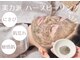 アニール(aniR)の写真