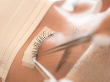 アージル(Argyll)/