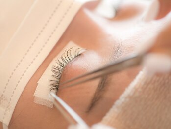 アージル(Argyll)/