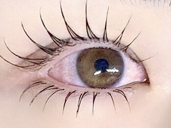 アイプロリッシュ 恵比寿(eyeprolish)/下まつげエクステ