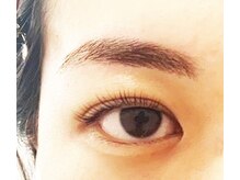 テイラー(Taylor)/ラッシュリフト×アイブロウ