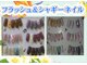 アンフィトリーテーの写真