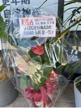 整体院スリーバランス 志布志院/