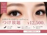 再来【圧倒的高持続】しみないLEDフラットボリュームつけ放題|ALLケア込◎