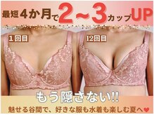 バストサロン メルベイユ(Merveile)