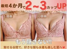 バストサロン メルベイユ(Merveile)