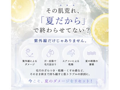 クレア(CREA)の写真
