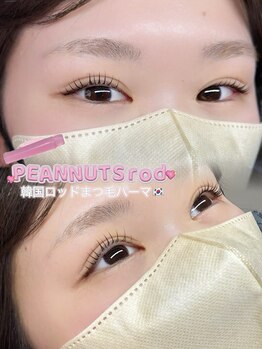 サンノット(SUN KNOT)/韓国ロッドまつ毛パーマ