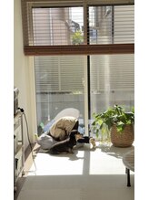 ピーエム(P.M)/お子様ルーム。