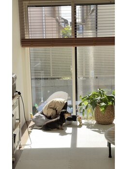 ピーエム(P.M)/お子様ルーム。