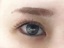 クレヴィア(crevia)/LEDフラットラッシュ120本