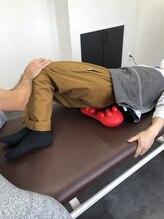 ガジュマルの樹/下腹ぺたんこ