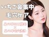 【再来】鼻のみ毛も取れる毛穴洗浄(鼻のみ毛穴洗浄+鼻のみWAX脱毛)¥9900