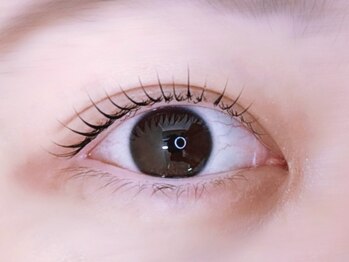 キト(QUITO)/韓国風まつげパーマ