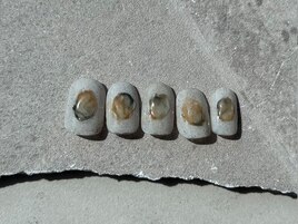 HAND BASIC