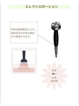 ソラ(SOLA)/エレクトロポレーション