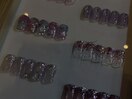 定額コース