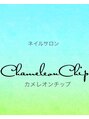 カメレオンチップ(ChameleonChip)/石岡