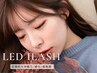 LEDマツエク(フラットラッシュ)+専用アイシャンプー込150本 ￥8,000