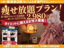 ヤヨスチーム(YAYOSTEAM)