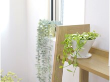 ラサンテ(Le Sante)/*こだわりの店内*